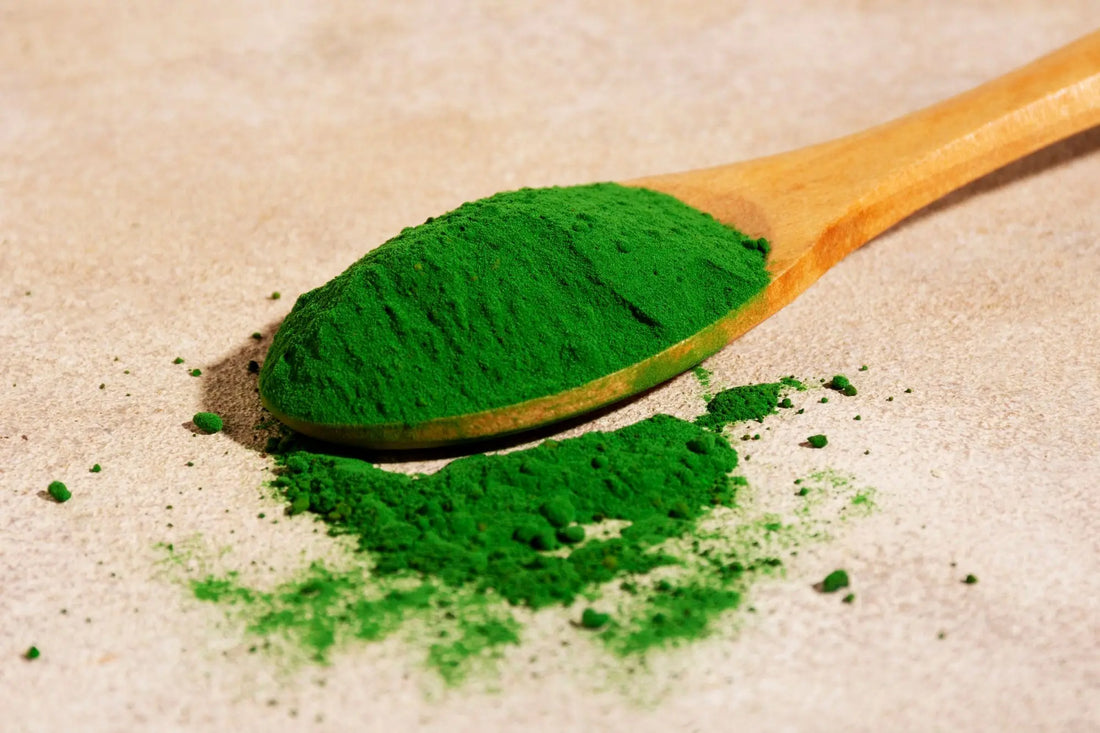 Detta är varför du ska ta spirulina