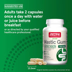 Jarrow Formulas Mastic Gum 60 kapselit