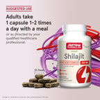 Jarrow Formulas Shilajit Fulvic Acid Complex 60 kapslar