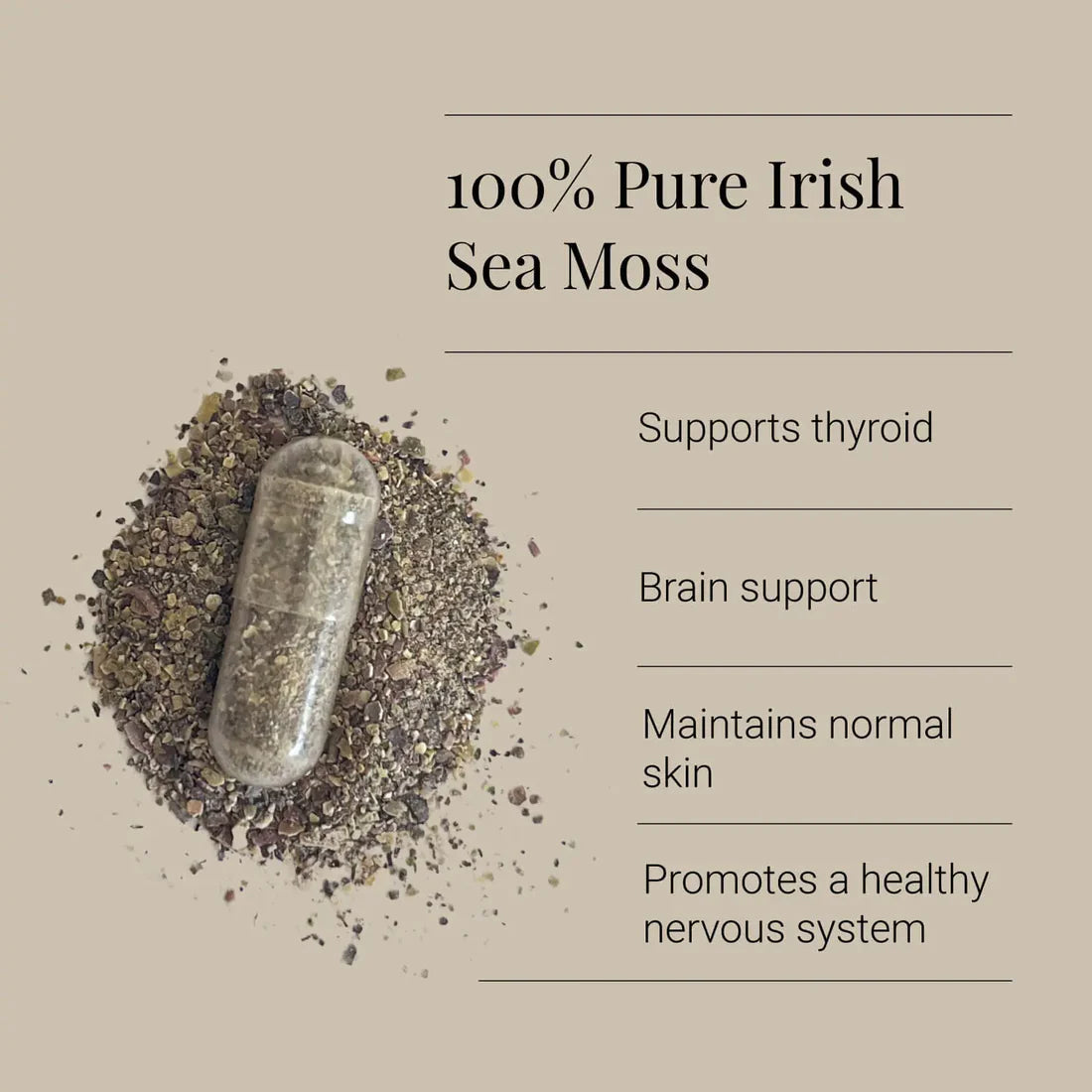 KIKI Health Sea Moss 500 mg 90 kapselit