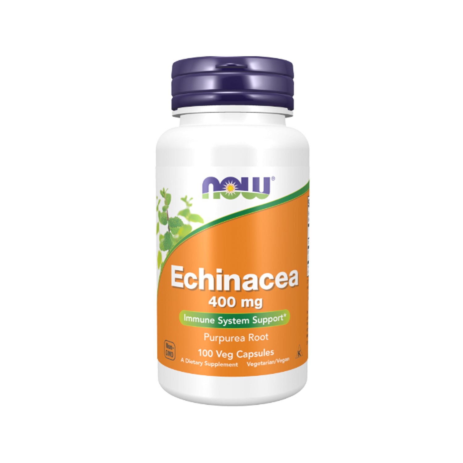 Kapselburk Echinacea 400 mg med 100 kapslar, NOW Foods