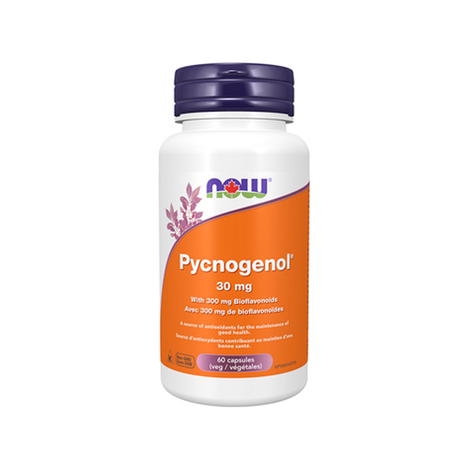 NOW Foods Pycnogenol 30 mg kapslar i vit kapselflaska med orange etikett