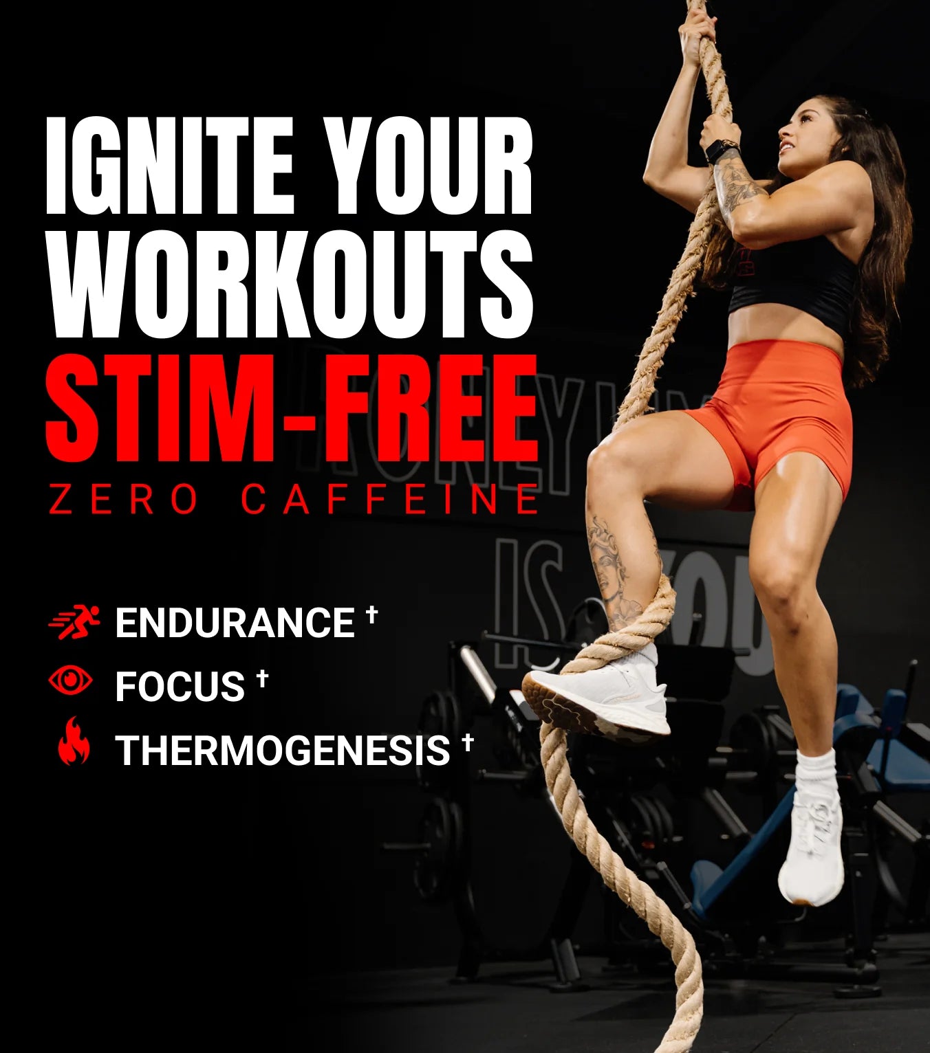 ProSupps Dr. Jekyll Signature 282g