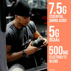 Rule One Essential Amino 9 345 g