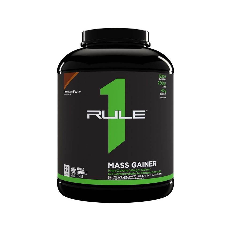 Mass Gainer, Chocolate Fudge - 2600 grams